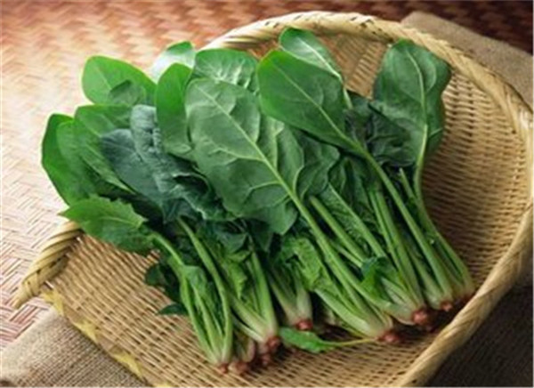 3秋季養生吃什么蔬菜 2.jpg