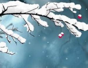 大雪節氣的含義是什么